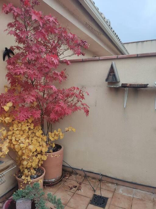 Apartamento Luminoso Con Jardin La Zubia  Exterior photo